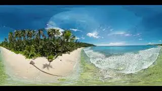 Sandy beach and palm trees. 360 panorama VR.