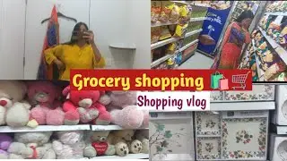 Aaj ki itni saari shopping 🛒🛍️ || Shopping vlog|| #groceryshopping #explorepage #youtube