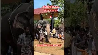 വിഷ്ണുലോകം രാജസേനൻ, വേമ്പനാട് വാസുദേവൻ, Vembanad Vasudevan, Vishnulokam Rajasenan, #elephant,