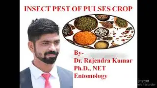 Lecture- 04 PEST OF PULSES CROP (दलहन फसलों के कीट और उनका प्रबंधन) By Dr. Rajendra Kumar