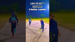 LBW or NOT? - Leg SPIN Bowling 🤔 #cricket #shots #shorts