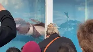 Mermaid at Perth Royal Show 2021