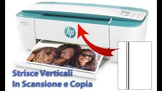 Strisce Grigie/Nere in Scansione e Copia &bull; Pulizia Scanner su HP DeskJet 3720/3750/3760/3762