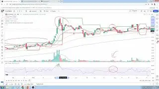 Darvas Stock Market Training Module 1 of 3 (August 2024)