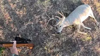 TEXAS DEER HUNTING 2024 BIG BUCK HUNTING CENTRAL TEXAS