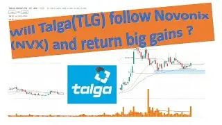 Will Talga(TLG) follow Novonix (NVX) and return big gains ?  #TLG, #NVX