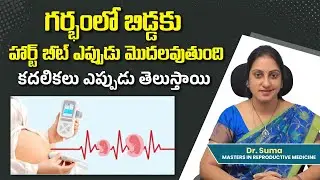 Baby Heartbeat in Pregnancy Telugu | When Baby Heartbeat Starts in Pregnancy Telugu | Best Fertil...