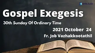 Gospel Exegesis |  30th Sunday Of Ordinary Time | 2021 Oct 24 | Fr. Job Vazhakkootathil