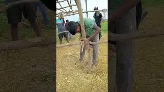 vidio #viralvideo #new #cricket #viralvideo #song #short #share