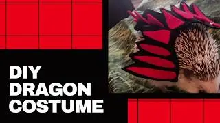DIY Dragon Costume for Small Pets | Hedgehogs, Guinea Pigs, and Other Small Animals