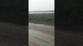O nodi re bengali song#canning wb#pls subscribe and like#nature#