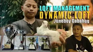 Part 2 | Loft Management | Juneboy Cabahug | Dynamic Loft