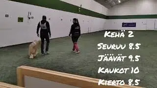 Urkki toko EVL1 288.5 FI ETVA