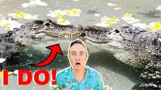 World's First Alligator Wedding!