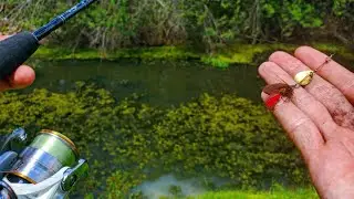 2lb Test Gar Fishing with Artificial