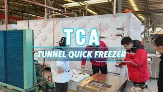 Tunnel quick freezer