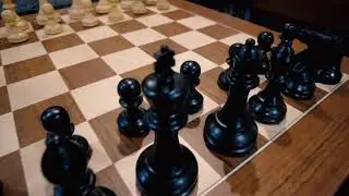 DGT Judit Polgar Deluxe Chess Set