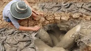 Unique Fishing Catching 2023 | Catching Catfish In Dry Season Find Fish in Underground Secret Hole