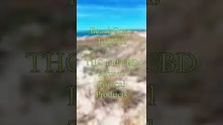 BeachGrass Topicals Product Reel | THC and CBD Infused Topical Products | Promotional Reek