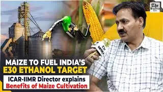 Maize to fuel India&rsquo;s E30 Ethanol target, ICAR-IIMR Director explains benefits of maize cultivation