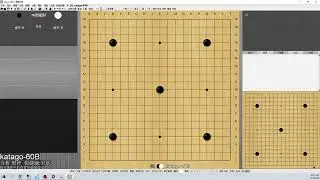 如何使用katago复盘