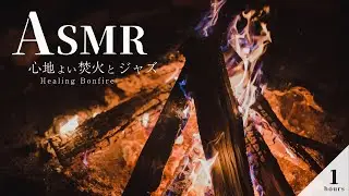 Calm Campfire Jazz at Night 🔥Relaxing Fire & Jazz for Work, Study, Sleep (1 Hour)