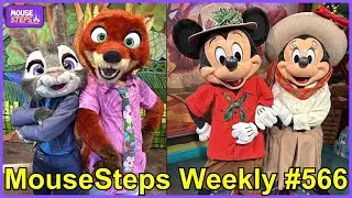MouseSteps Weekly 566: Disney's Animal Kingdom Holidays; Disney's Hollywood Studios; Resort Displays