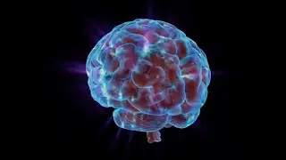 Nerve Support Sound Therapy | RIFE-Inspired Frequency No.10000 for Wellness & Balance