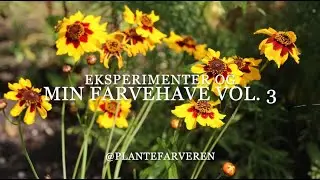Farvehaven og eksperimenter vol. 3