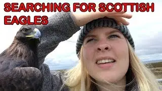 В поисках шотландских золотых орлов (при участии Эми Холл)