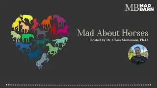 Ep. 20 - How Have Horse Feeds Changed Since Ancient Greece - Mad About Horses - [Podcast]