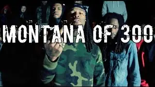 Montana of 300 ft. Highpoint - 