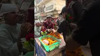Happy rose day .. #shorts #viral
