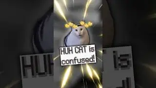 Huh Cat is Confused! #pokemon #pokemonmeme #funnycats #pokemonbattle #nostalgia #shorts #huhcat