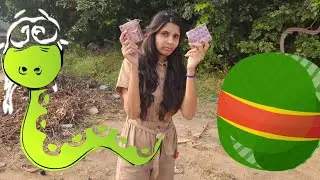 Snake Crackers Experiment 🐍with Sutli bomb #youtuber #experiment