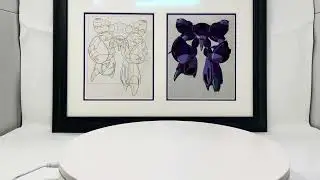 Robotech: The New Generation 