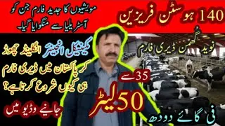 Holstein Friesian cattle farming in Pakistan|Friesian cow farming in Pakistan|Holstein cow farming