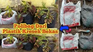 Cara Membuat Polibag Dari Plastik Kresek Bekas