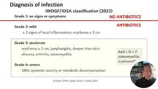 IWGDF/IDSA Infection Guideline