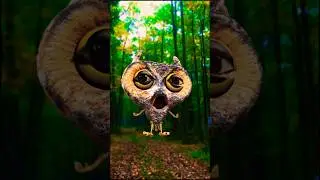 Dangerous owls sound 🦉🦉🦉🔥💥😱#shorts #owl #trending #youtubeshorts