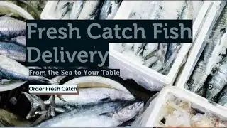 FreshCatch.my Tutorial | IMBOLDEN Innovation Project (Step-by-Step Guide)