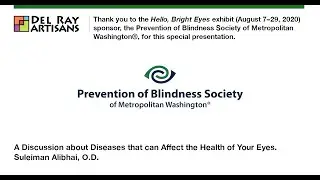 Healthy Aging & Your Vision presentation for Hello, Bright Eyes exhibit