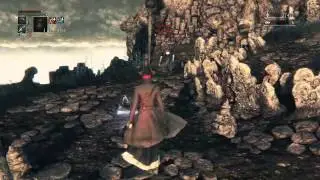 My Thoughts on the Bloodborne Meta (sarcasm)