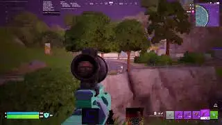 Overwatch  / Fortnite stream