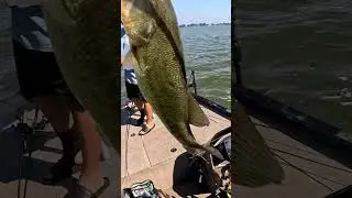 skipping citizen for bass! #bassfishing #fishing #swimbaitfishing #workingclasszero #fun #fish #skip