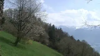 [8K] Old HDV video 