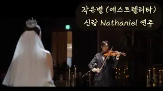 신부를 위한 신랑의 아름다운 바이올린 연주 Estrellita - Ponce/Heifetz