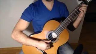 Fi's Gratitude - The Legend of Zelda: Skyward Sword on Guitar