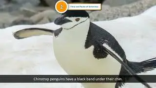 Ch 2 | Flora and Fauna of Antarctica |  GK | Class 7 | Bliss Tree | For children