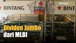 2025, MLBI Bayar Dividen Rp 542 Per Saham | Kontan News